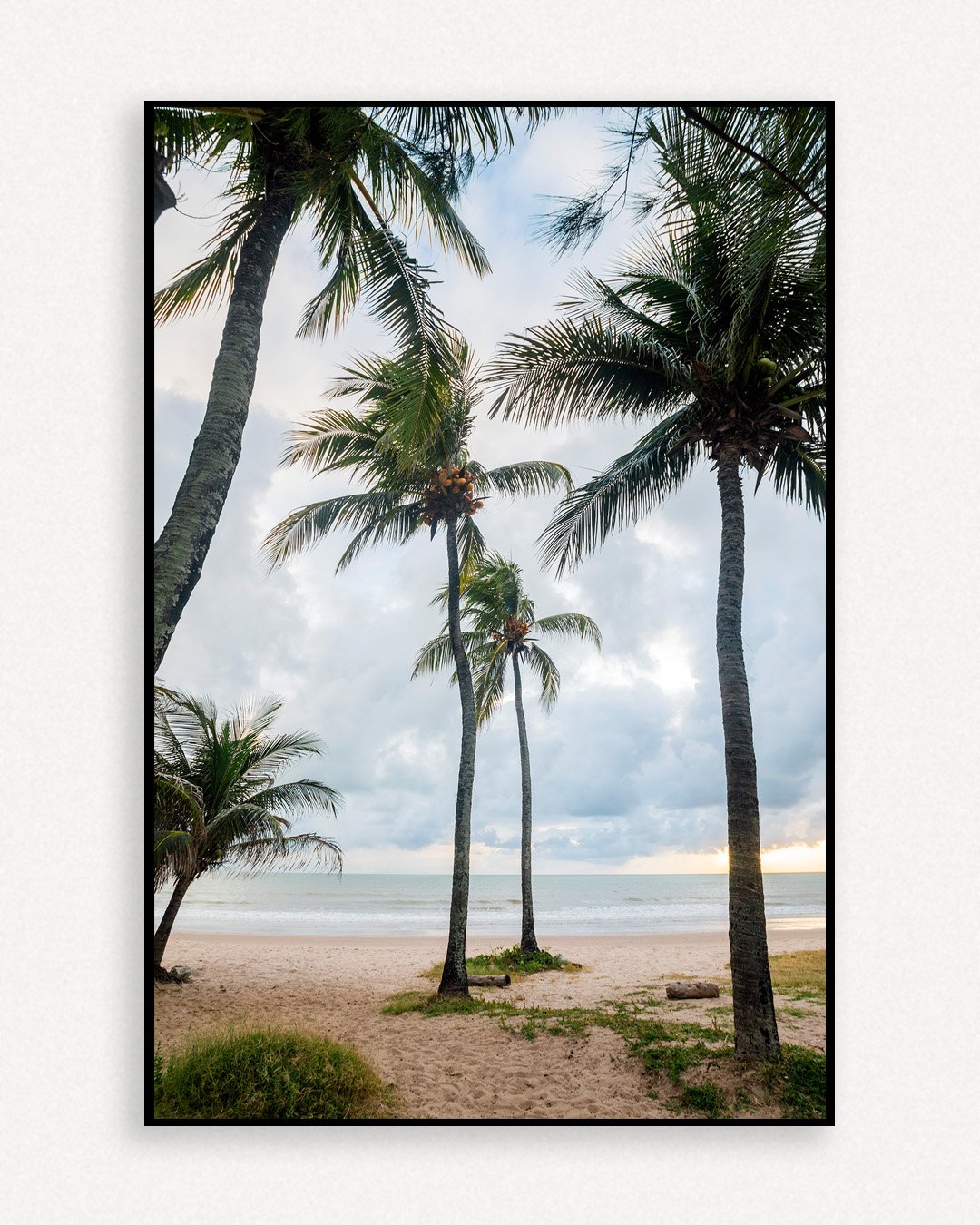Coqueirais Jampa - Imagem 5